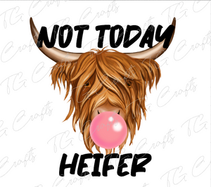 not today heifer